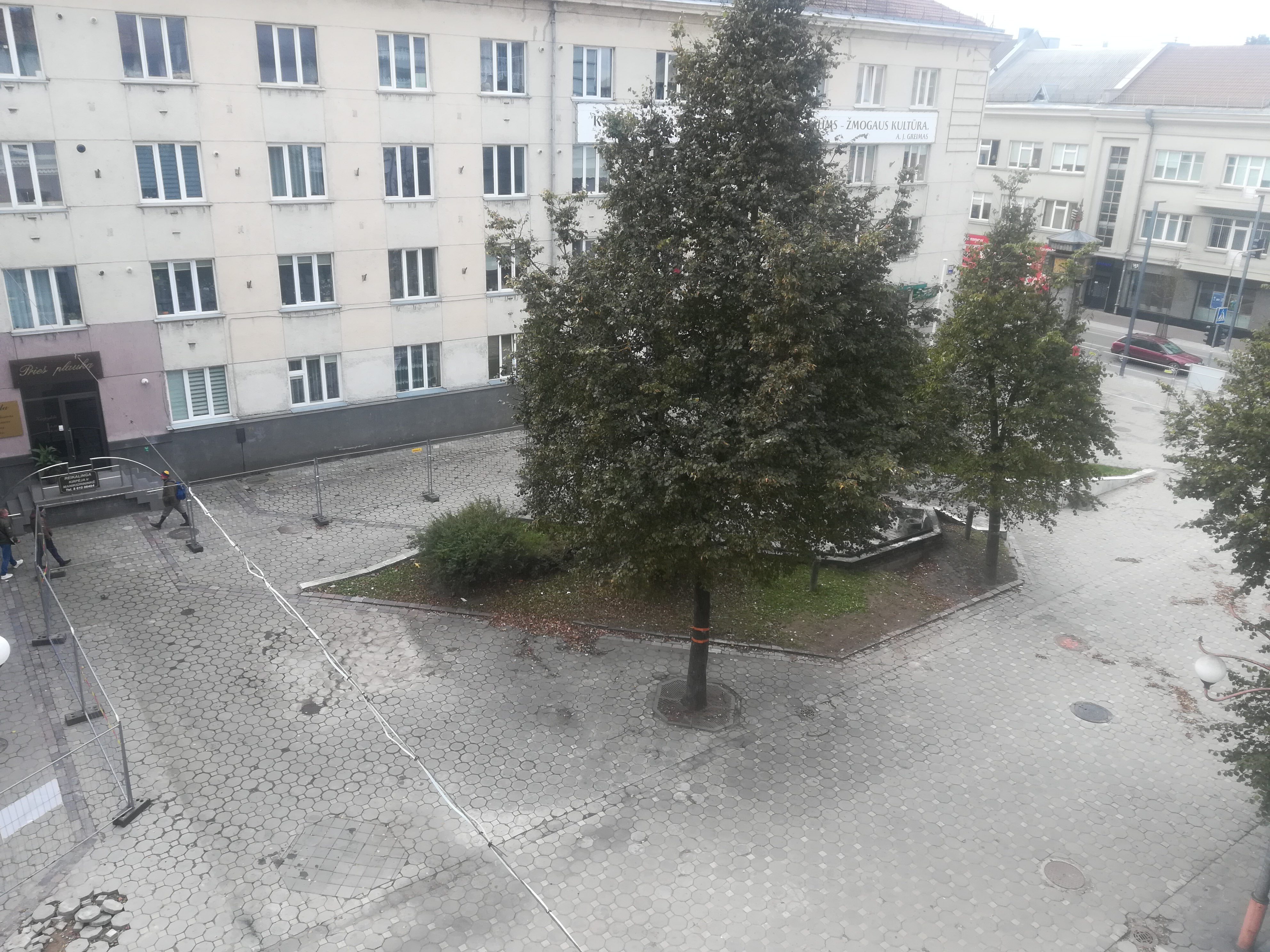 Susikirto medžių mylėtojai ir atsinaujinimo šalininkai