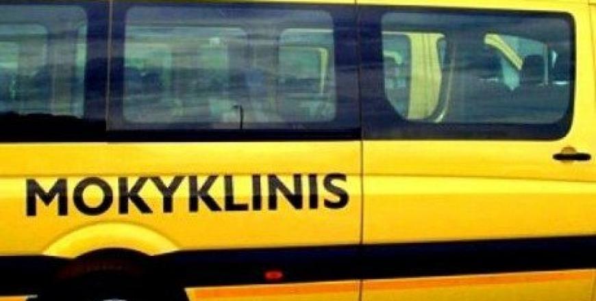 Geltonasis autobusas skirtas neįgaliesiems, tačiau jame vietos randa ir įgalūs darželių vadovai.