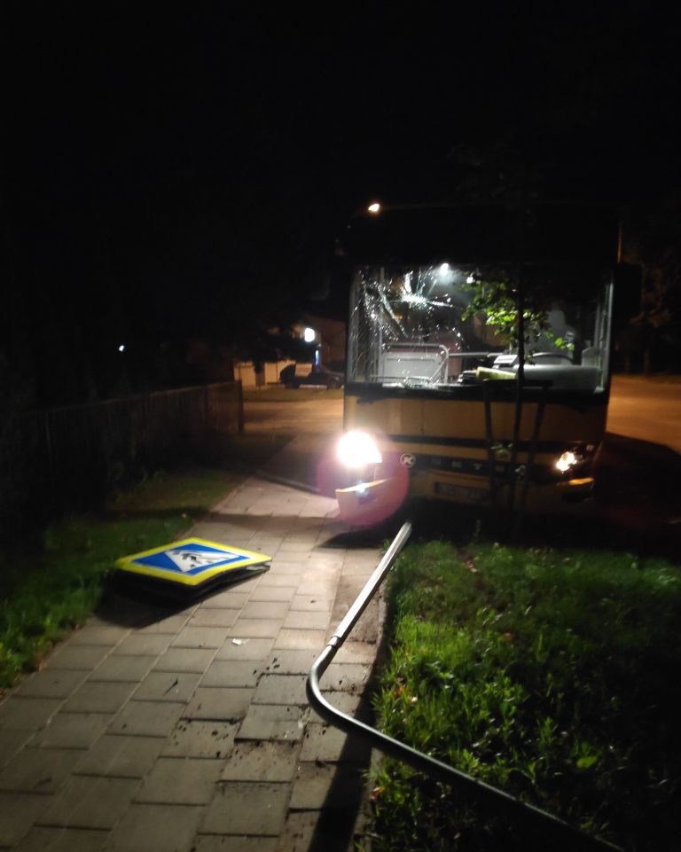 Skaudžios nelaimės išvengta - autobuse keleivių nebuvo, o pėsčiųjų perėja buvo tuščia.