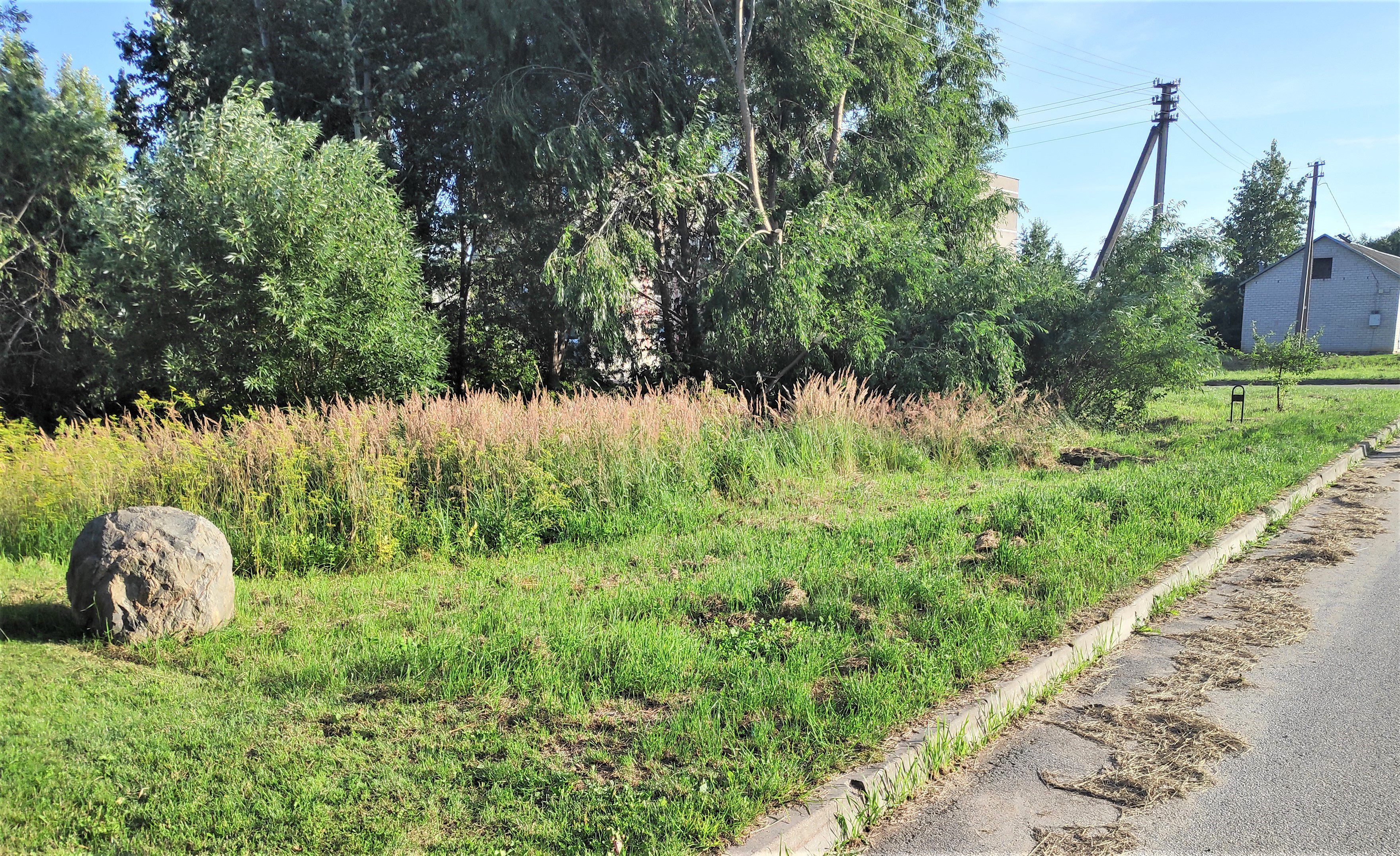 Nešienautą žolę palieka pūti