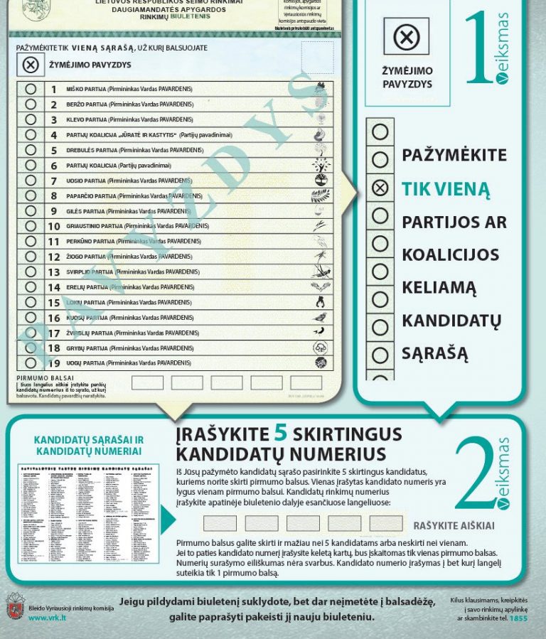 Išankstiniuose rinkimuose aktyviai balsavo tik Radviliškio miesto apylinkės