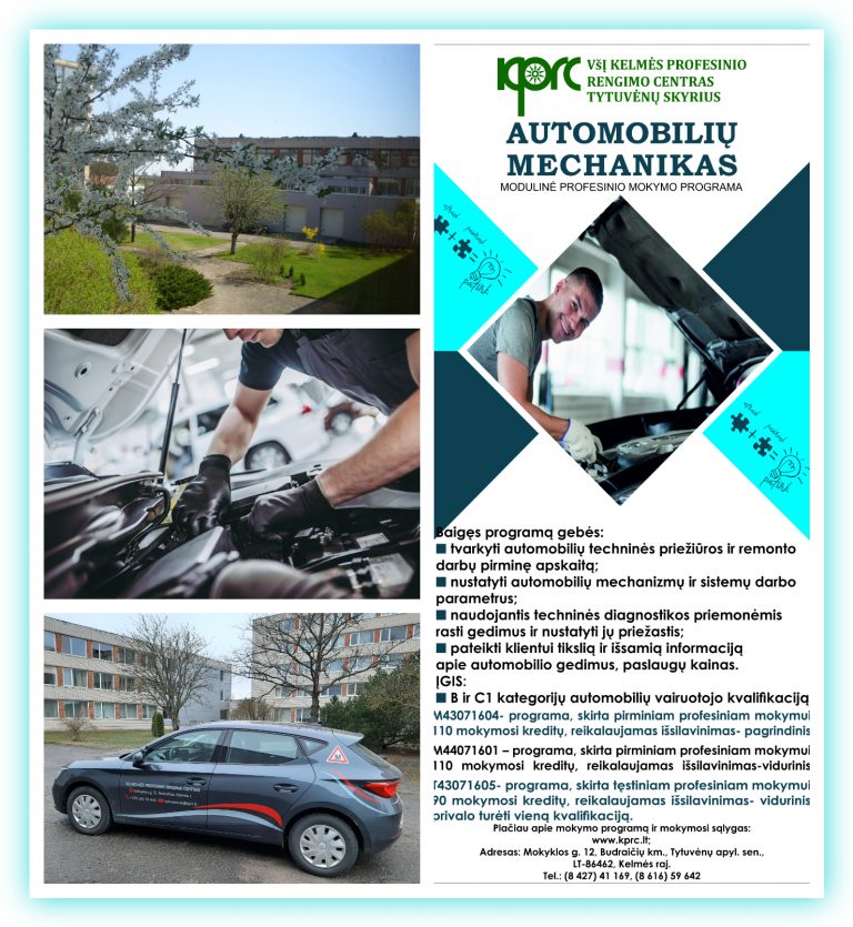 Automobilių mechaniko