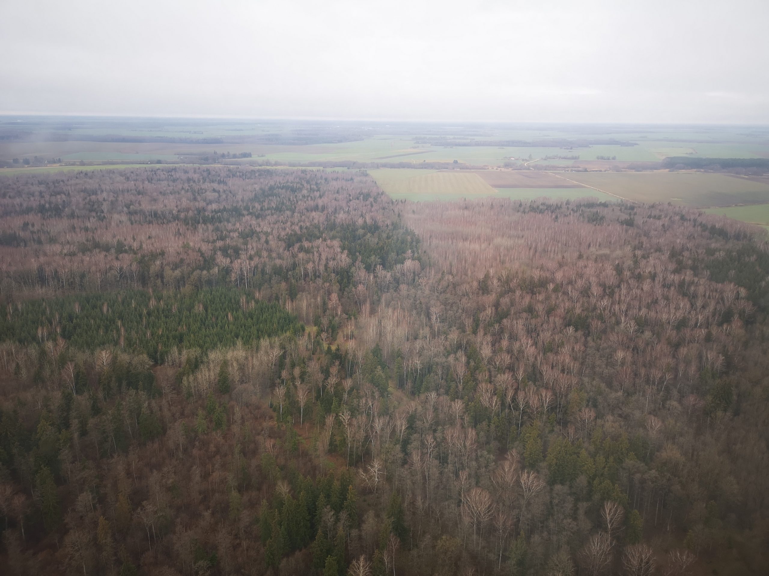 Nuvykę į įvykio vietą aplinkosaugos pareigūnai rado pastatytas 5 kilpas laukiniams gyvūnams gaudyti ir nusprendė atlikti pasalą