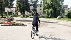 pakiršinys