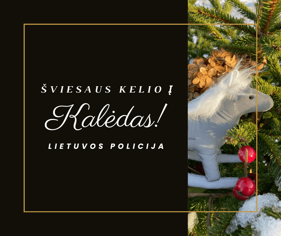 Lietuvos policijos patarimai prieš didžiąsias metų šventes
