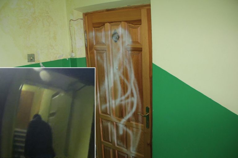 Chuliganas nusiaubė radviliškietės buto duris