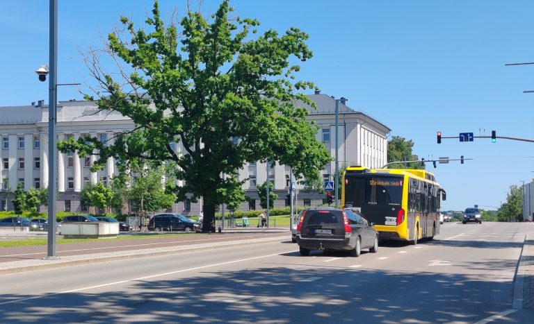 Autobusai