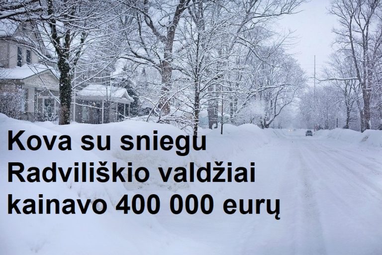 Gausus sniegas stipriai papildė verslininkų pinigines